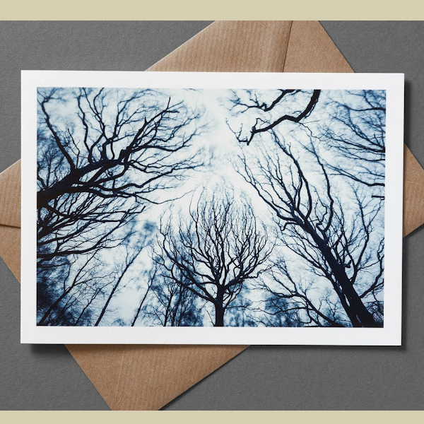 A Celebration of Trees – card collection x 6