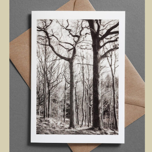 A Celebration of Trees – card collection x 6