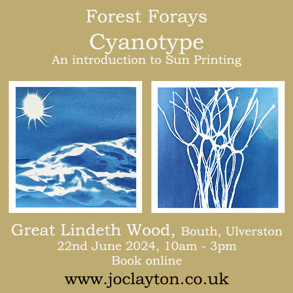 Forest Forays – Cyanotype nature printing