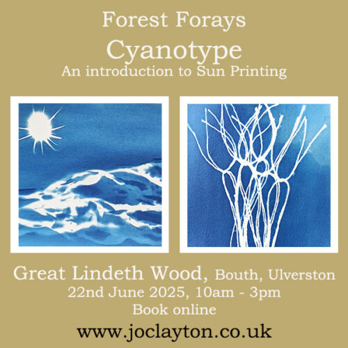 Forest Forays – Cyanotype nature printing workshop